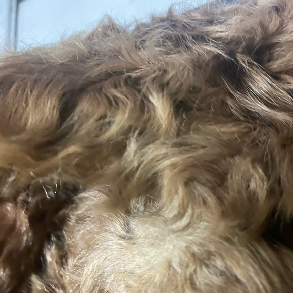 Vintage 80s/90s Astrakhan Karakul
Persian Lamb Fur Coat M/L - Fur
Button & Pads - Picture 9 of 12